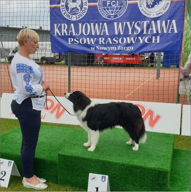 Kobieta z psem na podium